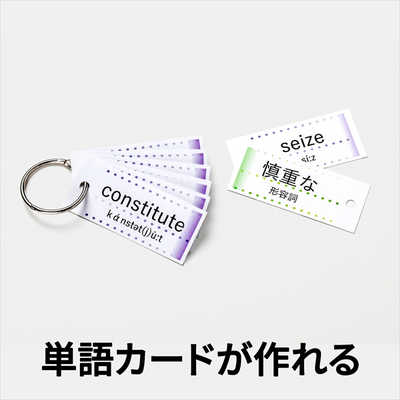 エーワン マルチカード 単語カード穴あきタイプ(A4サイズ・30面・5