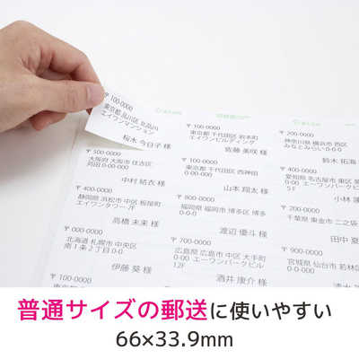エーワン ラベルシール｢プリンタ兼用｣ マット紙 24面 四辺余白付 22