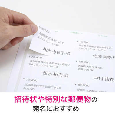 エーワン ラベルシール｢プリンタ兼用｣ ハイグレード 10面 四辺余白付