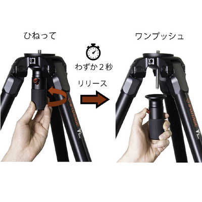 IFOOTAGE IFOOTAGE WILD BULL T5S IFOOTAGE IFOOTAGEWILDBULLT5S IFOOTAGE IFOOTAGE WILD BULL T5S IFOOTAGE IFOOTAGEWILDBULLT5S