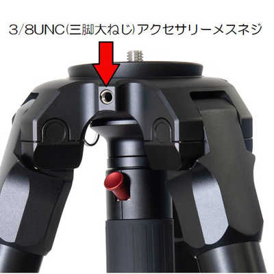 IFOOTAGE IFOOTAGE WILD BULL T5S IFOOTAGE IFOOTAGEWILDBULLT5S IFOOTAGE IFOOTAGE WILD BULL T5S IFOOTAGE IFOOTAGEWILDBULLT5S