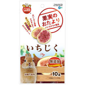 マルカン 果実のおたより いちじく (10g) [ペットフード]