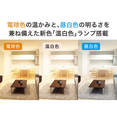モダンデザイン 6灯シーリングライト　KOIZUMI コイズミ KOIZUMI LEDシャンデリア シンプルモダンデザイン 6灯タイプ