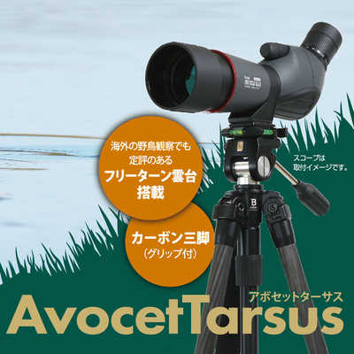 スリック スリツク AvocetTarsus(アボセットターサス) ［4段