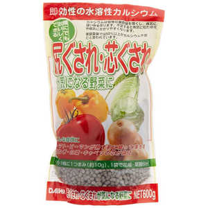 大和 尻ぐされ芯ぐされが気になる野菜に 600g 