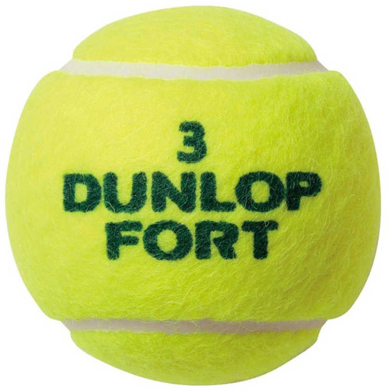 ダンロップ ダンロップ 硬式テニスボール FORT 2個入 イエロー FORT2 FORT2