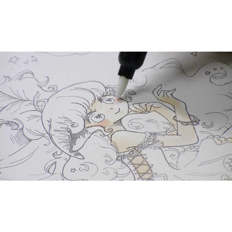 マービー マービー ルプルームパーマネント ニュートラル9 N889 (黒軸) 3000B-N889 3000B-N889