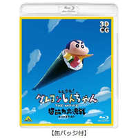 希少非売品クレヨンしんちゃんバンダイビジュアルDVD映画イラストカード 10枚 バンダイビジュアル BANDAI VISUAL DVD しん次元！クレヨンしんちゃん