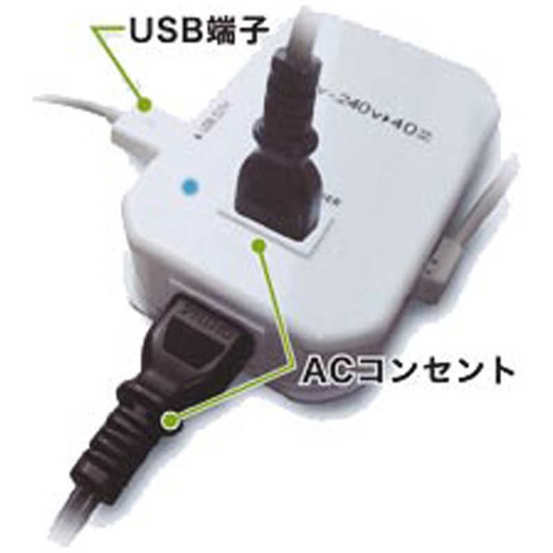 カシムラ カシムラ 変圧器 （ダウントランス）（220-240V⇒100V・容量40W・USB出力端子0.5A） WT‐55E WT‐55E