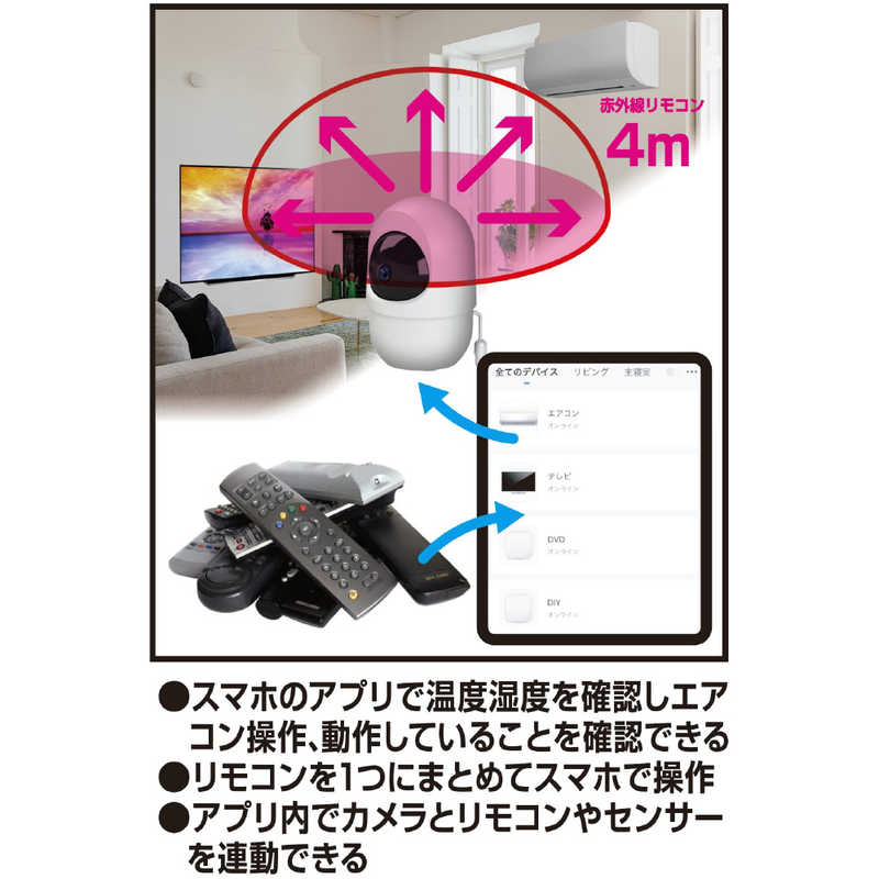 カシムラ カシムラ スマートカメラ リモコン/温湿度/首振-巡回 [無線 /暗視対応] KJ-195 KJ-195