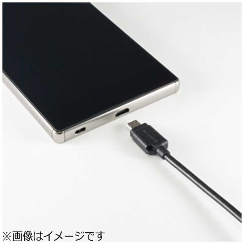 カシムラ カシムラ [micro USB]USBケーブル 充電･転送 2.4A (1.2m･ブラック) AJ-526 AJ-526