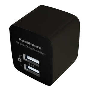 カシムラ 自動識別充電対応2ポートUSB充電器 AJ-555 ブラック
