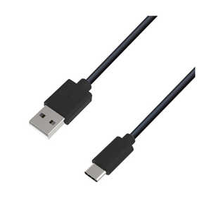 カシムラ USB充電器&同期ケーブル 1.2m A-C BK AJ-573