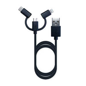 カシムラ マルチ充電&データ通信ケーブル (Lightning/type-C/USB-A/アップル社MFiライセンス正規認証品/) カシムラ AJ-609