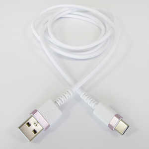 カシムラ USB充電&同期ケーブル 1.2m A-C カシムラ AJ-622