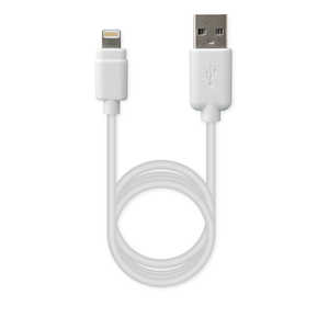 カシムラ USB充電 & 同期ケーブル 50cm LN WH KL-15 カシムラ USB充電 & 同期ケーブル 50cm LN WH KL-15