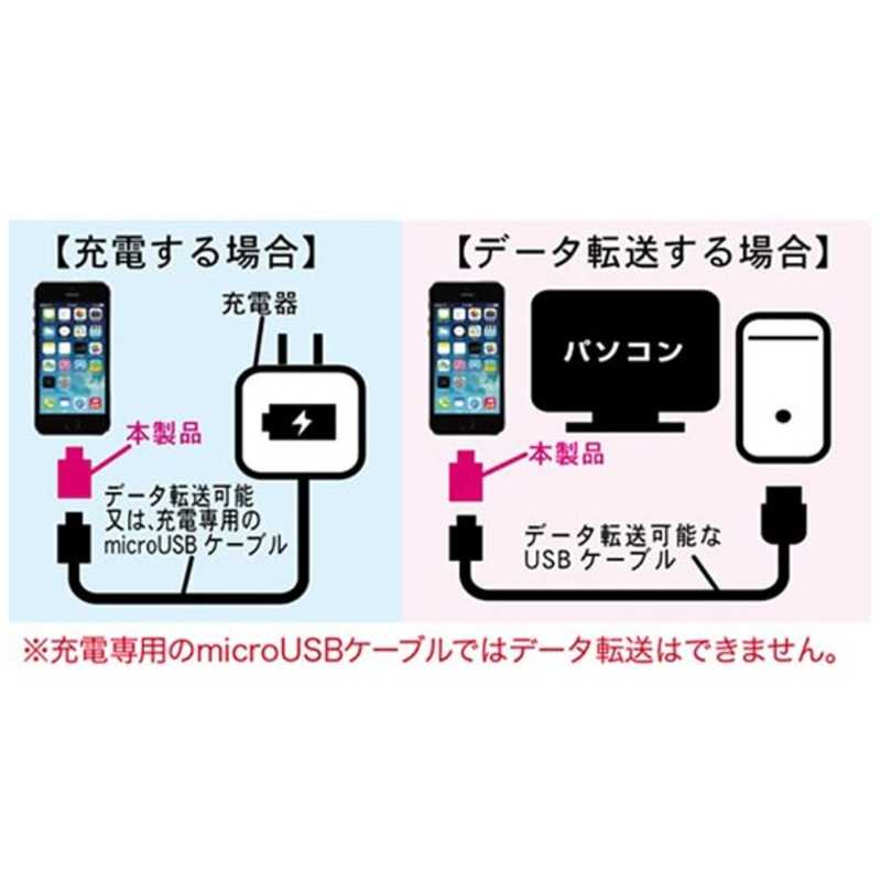 カシムラ カシムラ 変換アダプタ MFi認証［micro USB → Lightning］ KL18 KL18
