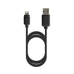カシムラ USB充電 & 同期ケーブル1.2m KL72 カシムラ USB充電 & 同期ケーブル1.2m KL72