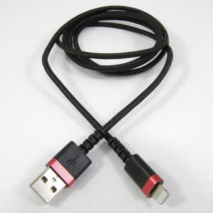 USB充電 & 同期ケーブル 1.2m LN カシムラ KL-107