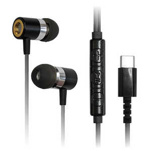 カシムラ イヤホン カナル型 [USB] AE-223