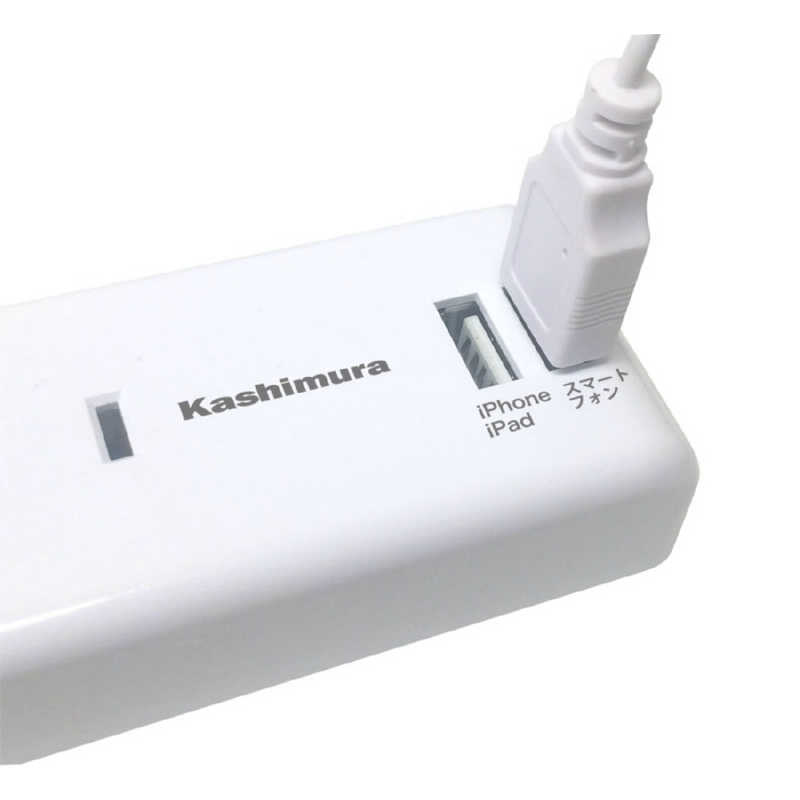 カシムラ カシムラ 国内･海外兼用 2口電源タップ (Aタイプ･2USB 2.1A 1m) TI-174 TI-174