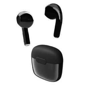 カシムラ 完全ワイヤレスイヤホン ［ワイヤレス(左右分離) / Bluetooth対応］ ブラック BL-137