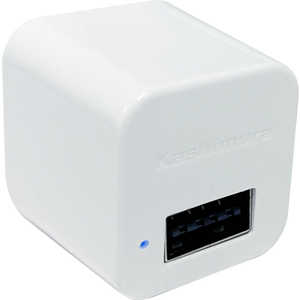 カシムラ AC充電器 リバーシブルUSB-A AC-025 カシムラ AC充電器 リバーシブルUSB-A AC-025