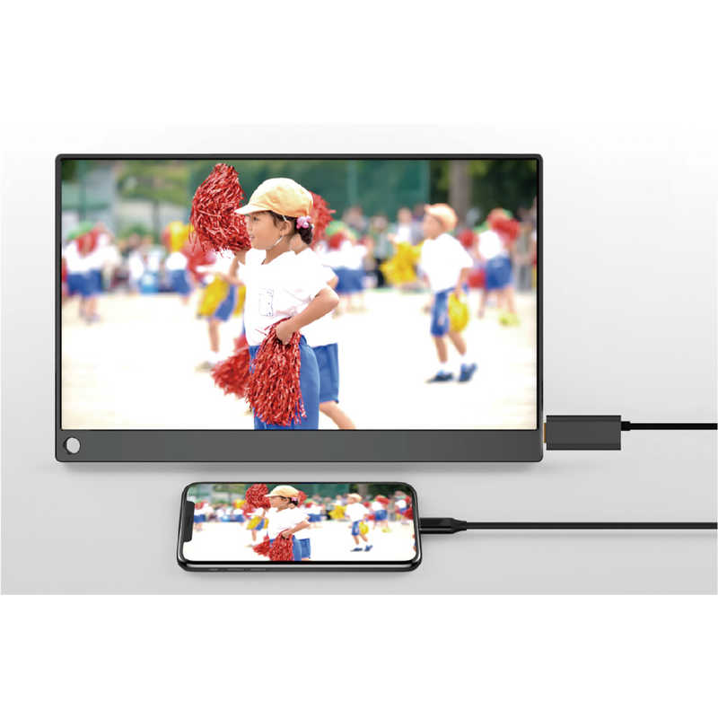 カシムラ カシムラ 2m HDMI変換ケーブル Type-C専用 4K 充電用ポート付 KD-222 KD-222