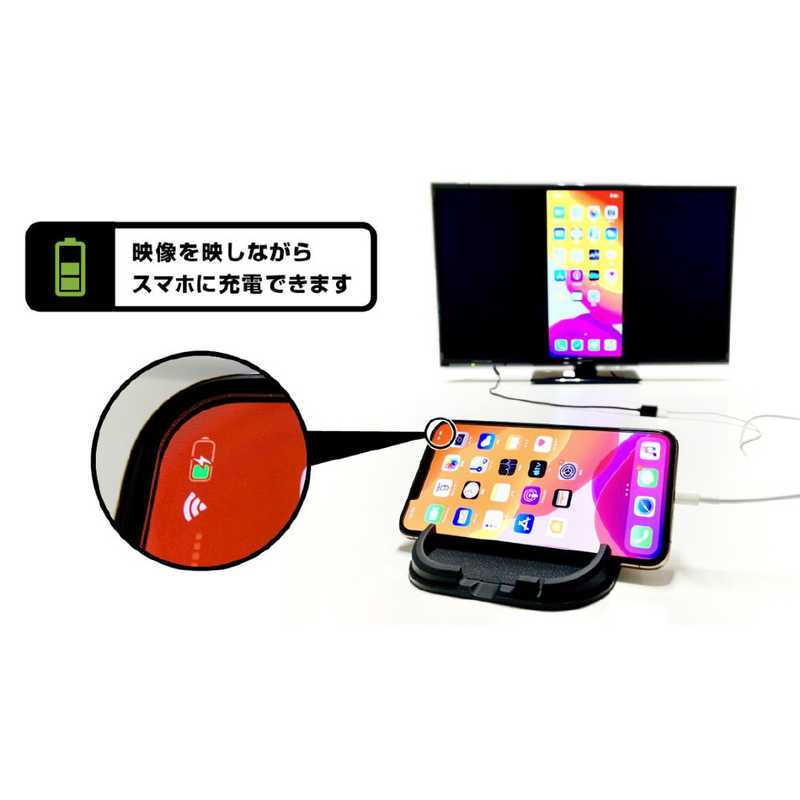 カシムラ カシムラ RCA変換ケーブル iPhone専用 KD-226 KD-226