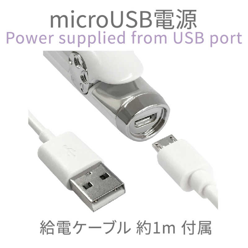 カシムラ カシムラ USB給電式ミニヘアアイロンストレート TD-22 TD-22