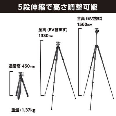 ベルボン 自由雲台付三脚 Z553 MT ［5段 /自由雲台］ Z553MT の通販