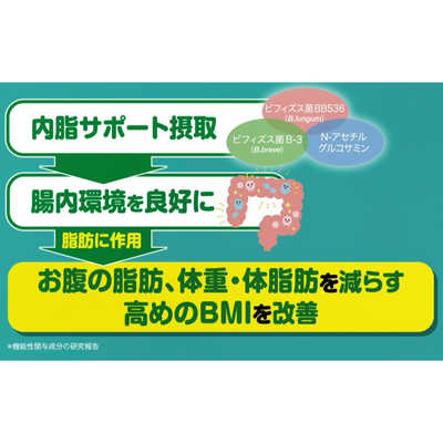 2袋セット ファンケル 内脂サポート 60日分 90粒×2個 ファンケル 内脂サポート 60日分 | 栄養補助食品・機能性食品