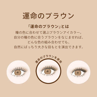 資生堂 MAQuillAGE (マキアージュ) ドラマティックアイカラー PK102