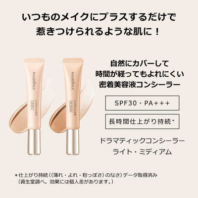 資生堂 MAQuillAGE (マキアージュ) ドラマティックコンシーラー ライト