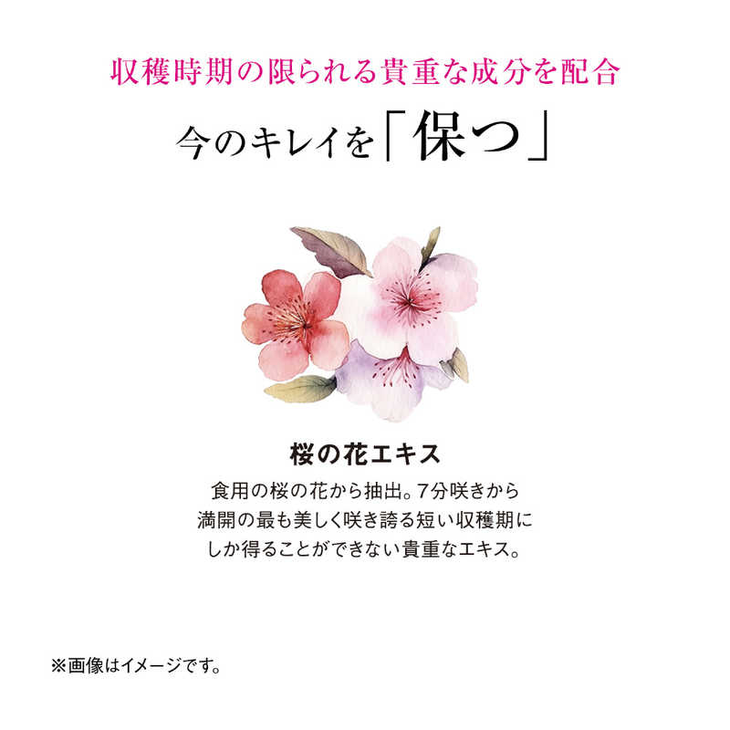資生堂 資生堂 The Collagen(ザ・コラーゲン)サイクルショット リフレッシュ 2g×7袋［美容食品］  