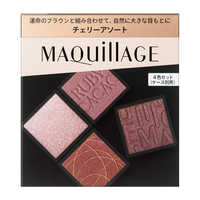 資生堂 MAQuillAGE (マキアージュ) カスタマイズアイカラー アソート