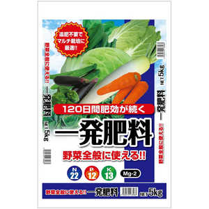 セントラルグリーン 一発肥料 野菜全般用 5kg 7205067 セントラルグリーン 一発肥料 野菜全般用 5kg 7205067