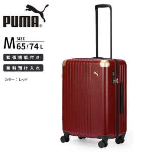 v[} PUMA X[cP[X 65LbeʁEgΉ MTCY tCWO mTSAbNځn bh 30906