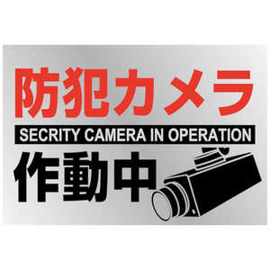 日本緑十字 緑十字 イラストステッカー標識 防犯カメラ作動中 貼-133 150×220mm 2枚組 PET 047133
