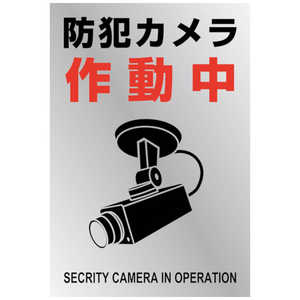 日本緑十字 緑十字 イラストステッカー標識 防犯カメラ作動中 貼-134 220×150mm 2枚組 PET 047134
