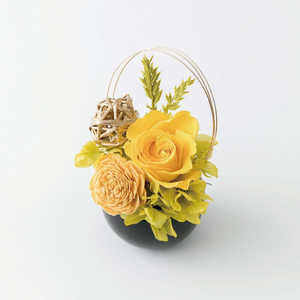 バックヤードファミリー Temari てまり フラワーアレンジメント プリザーブドフラワー 黄 APTEMARI バックヤードファミリー Temari てまり フラワーアレンジメント プリザーブドフラワー 黄 APTEMARI