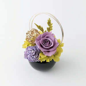 バックヤードファミリー Temari てまり フラワーアレンジメント プリザーブドフラワー 藤 APTEMARI バックヤードファミリー Temari てまり フラワーアレンジメント プリザーブドフラワー 藤 APTEMARI