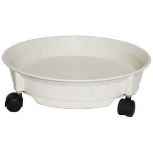 WELZO ݂LX^[v[g 30^ zCg ~bNLX^[v[g30K^