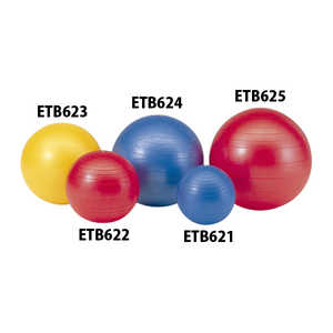 エバニュー (EVERNEW) ジムボール65 青 (Evernew) ETB624 エバニュー (EVERNEW) ジムボール65 青 (Evernew) ETB624