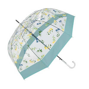 宮嶋 amusant sous la pluie バードケージ プラスチック傘 65cm 長傘 ボタニカルBLxSKY MYBIRDGACAGE 宮嶋 amusant sous la pluie バードケージ プラスチック傘 65cm 長傘 ボタニカルBLxSKY MYBIRDGACAGE