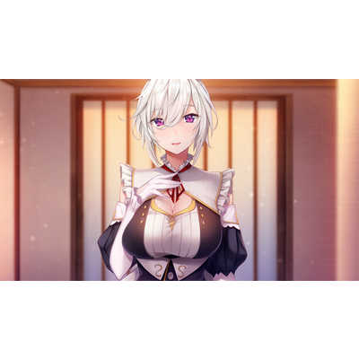 エンターグラム PS4ゲームソフト メイドさんのいる暮らし