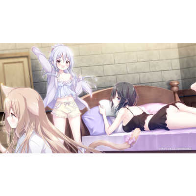 エンターグラム Switchゲームソフト ジュエリー・ハーツ・アカデミア