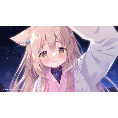 (送料無料・即日発送)Switch ジュエリー・ハーツ・アカデミア 通常版 Amazon.co.jp: ジュエリーハーツアカデミア通常版 : PCソフト