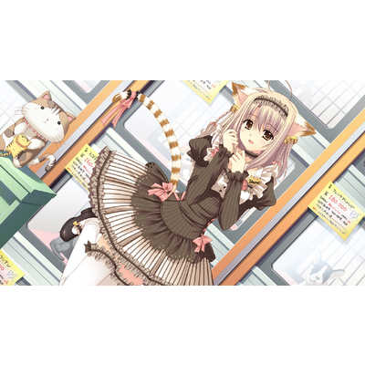 【未開封】【通常版】世界征服彼女 Nintendo　Switch 世界征服彼女＜Switch＞20250522