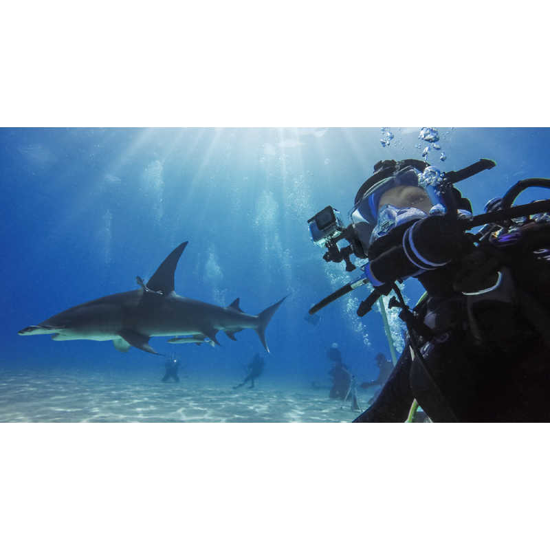 ゴープロ GOPRO ゴープロ GOPRO ダイブハウジング(HERO8 Black) AJDIV-001 AJDIV-001